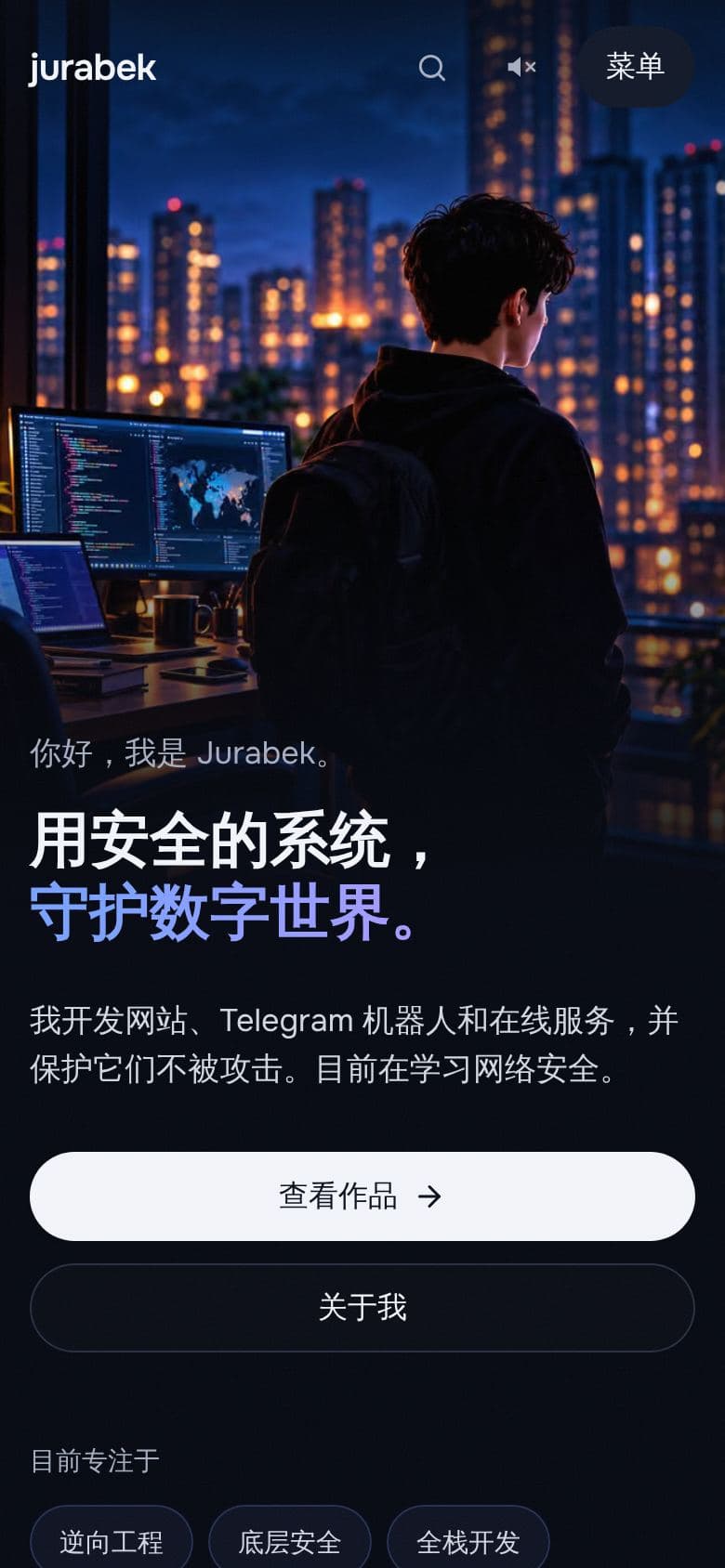 本站首页在手机上的样子